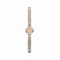 Dior watche for women